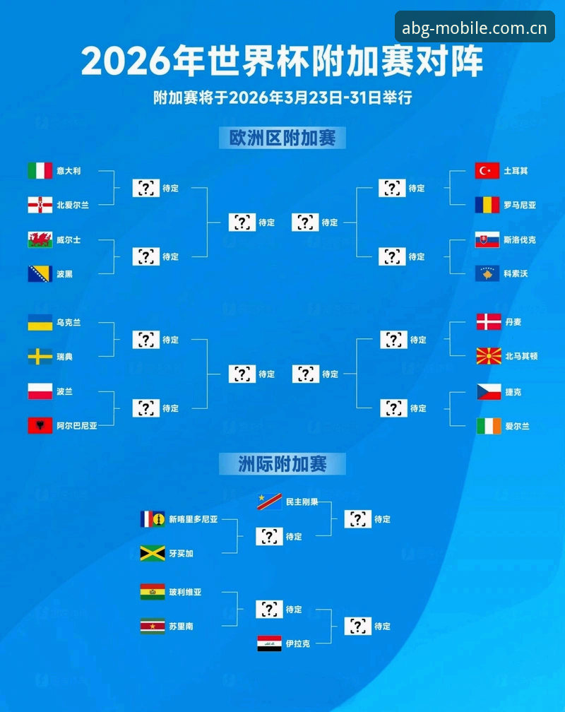 世界杯观赛受阻全解析：从签证困境到地缘政治，欧博体育平台带你深度洞察赛事背后